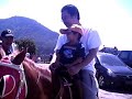 KNIGHT RIDER OF THE HORSE