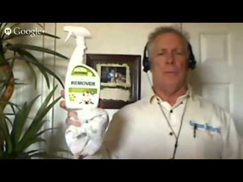 how to remove urine smell from concrete
