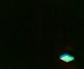 Sjoerrrrrrd filmt onkruid bij nacht... Sjoerrrrrrd filmt onkruid bij nacht...