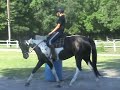 (for an idea of size, rider is 5'10