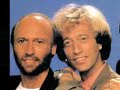The Gibb Twins