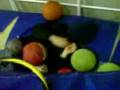 videos de Rolf´s Julekalender 9 Desember (funny)