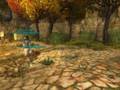 LOTRO Roheryn Glitch