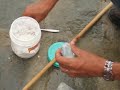 Fishing with corn flour