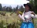 Corazoncito no llores - Darling don't cry - Martha Palomino