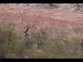 Rangerball \"Get The President\" 09/18/2007 St. George Utah