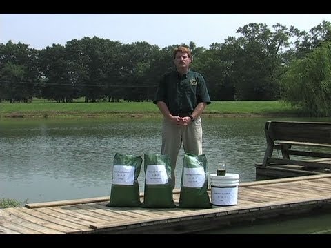 how to fertilize pond
