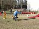arnac agility