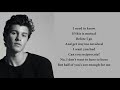 Shawn Mendes - Mutual (lyrics)