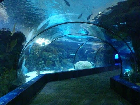 Our Trip to The Omaha Zoo
