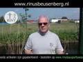 Rinus Beusenberg: Fraude en corruptie deel 2 (1 of 2)