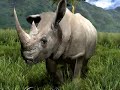 Africa for PS3 (coming 28.08.2008 Japan only 1st)