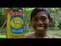 Cow Brand Candles India
