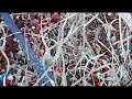 Paran� clube - O V�o da Gralha