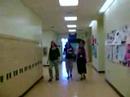 Pack of Wild Teachers Pack of Wild Teachers