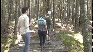 “The Norton Island Experience”