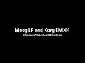 keybdwizrd   moog lp and korg emx 1