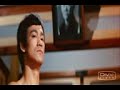 bruce lee 1940 a 1973