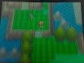 Pokémon Diamond - Shaymin Pokémon Diamond - Shaymin