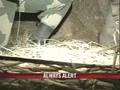 Soldiers brave cold wave on the border