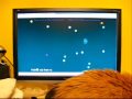 orange cat ambience