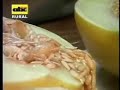 Propiedades del Melón Propiedades del Melón