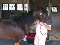 joe seekman, trainer of art official, speaks about the 2008 little brown jug favorite at the usta speaker's series and in the jug barn on sept. 17, 2008.