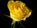 gecenin-matemi.html