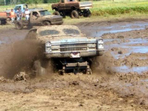 Minnesota Mudders