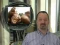 Randy Cassingham's This is True #11