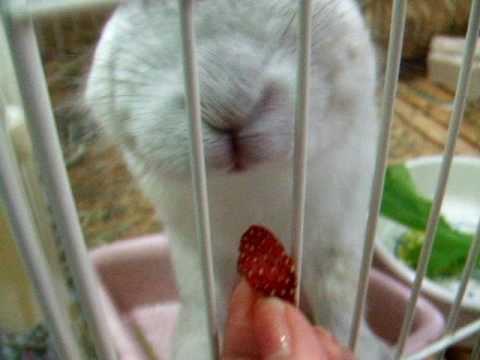 mimi2006 1206 152400
