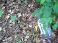 environnement
