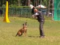 www.psisport.com -  IPO CACIT,Kozienice 2008 - Nemezis-C