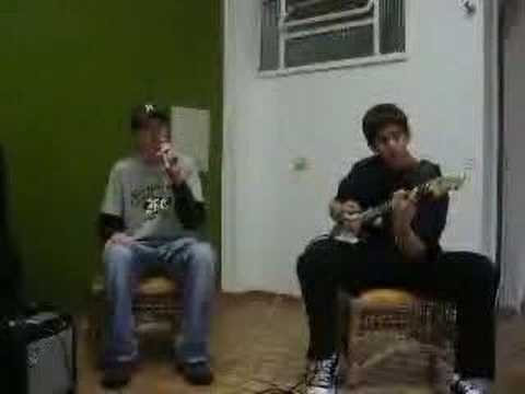Codinome Beija-Flor