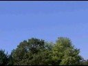 Oct 06 2008 - VID00029