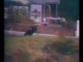 Continental Circus - Jack Findlay - GP de Spa 1970