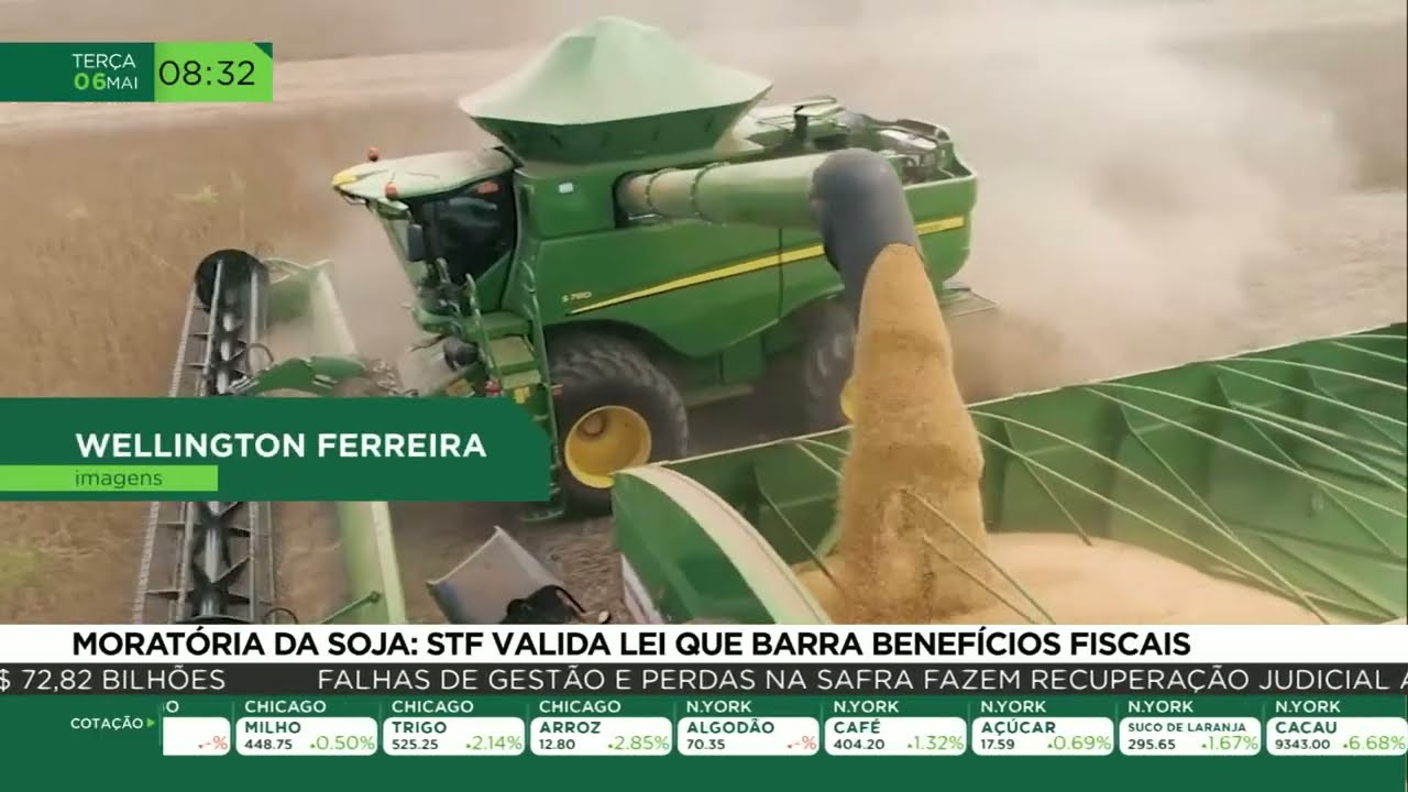 Moratória da soja: STF valida lei que barra benefícios fiscais