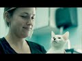 Open video