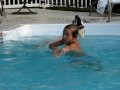 Great Pyrenees Diving in pool