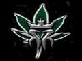 kmk-diddy-daddy.html