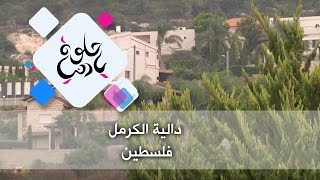 دالية الكرمل - فلسطين - حلوة يا دنيا