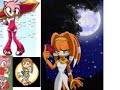 tikal and amy rose tribute tikal and amy rose tribute