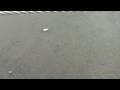 Fish Eating a Duck (Thames River Monster)