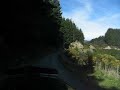 carting logs