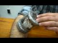 Bed Bugs Cocoa Beach