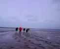 Carrera Wattenmeer