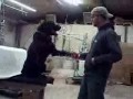 My Dog Skiff, dog tricks, very cool! My Dog Skiff, dog tricks, very cool!