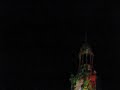 CityOfSydney.Tv Xmas 09 TownHall Lighting D 6 Blue Tongue Lizards