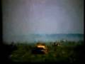 videos de hulagesweb-320x240x15fps.wmv