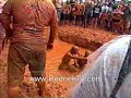 Mud Pit Belly Flop Mud Pit Belly Flop